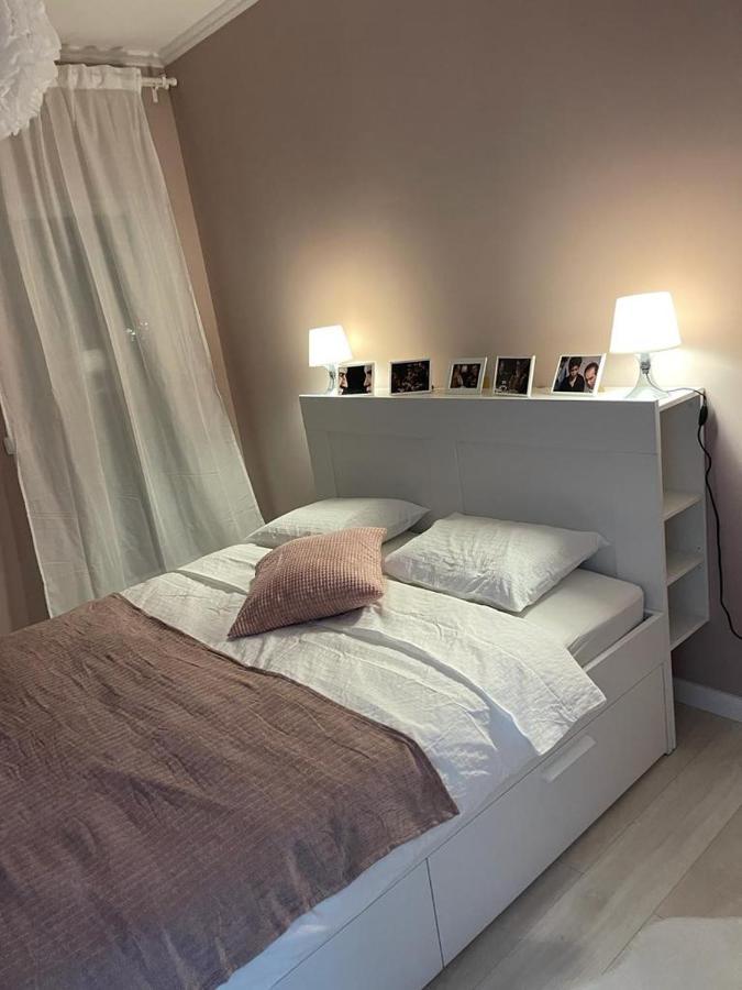 Beautiful Colors Residence Villa Otopeni Εξωτερικό φωτογραφία