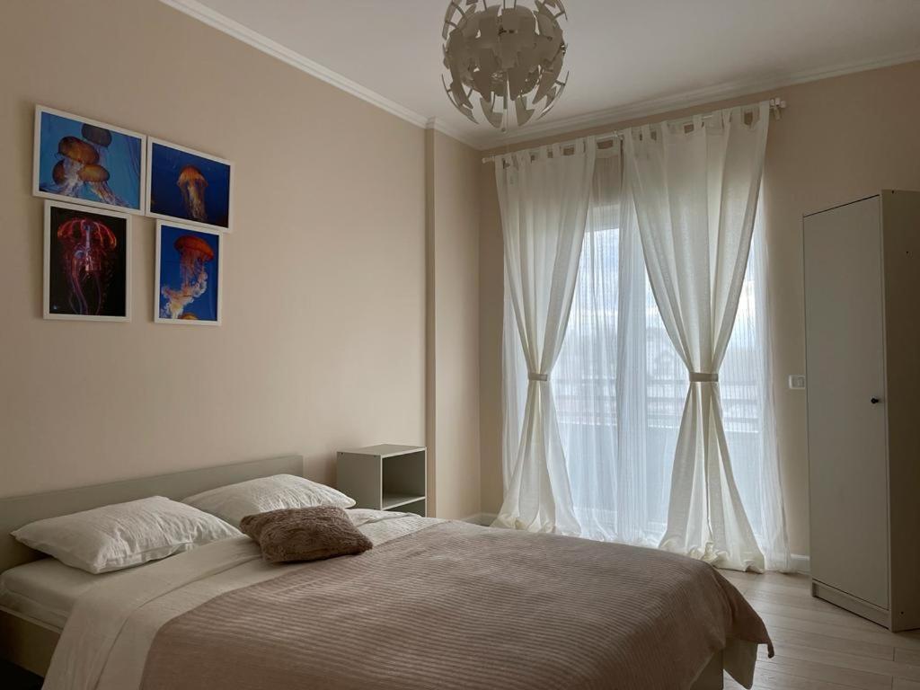 Beautiful Colors Residence Villa Otopeni Εξωτερικό φωτογραφία